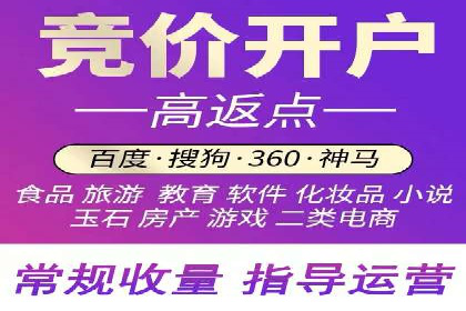 百度推广运营成功故事：品牌与效果的双重胜利